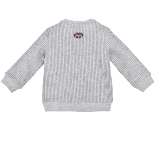 BONDI Jungen Sweatshirt "Frechdachs" 91524 - Grau | Pullover