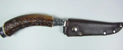 Funk Hirschhorn Trachtenmesser mit Zierkappe - Rothirsch