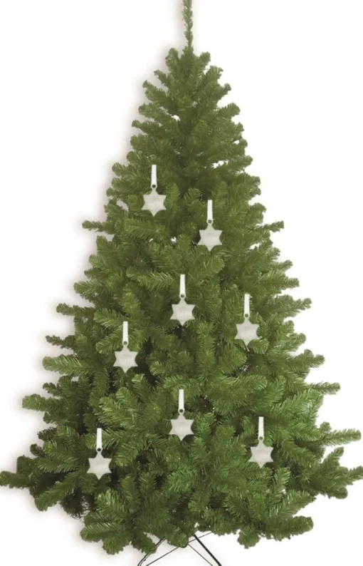 Riffelmacher Christbaumschmuck Metall Stern 6cm 71322 - Silber